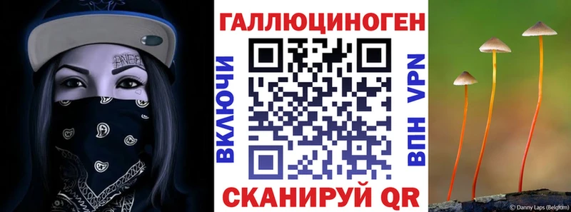Псилоцибиновые грибы Magic Shrooms  Гаврилов-Ям 