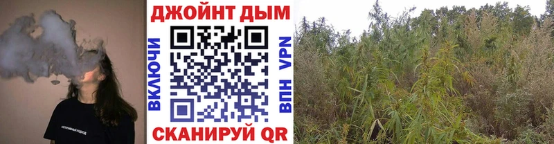 Бошки Шишки Amnesia  купить наркоту  Гаврилов-Ям 